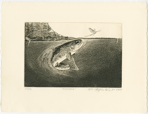 Escaped 29/70 by Stephen Mutsugoroh DiCerbo