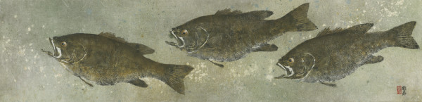 Smallmouth Bass Trio 2 by Stephen Mutsugoroh DiCerbo