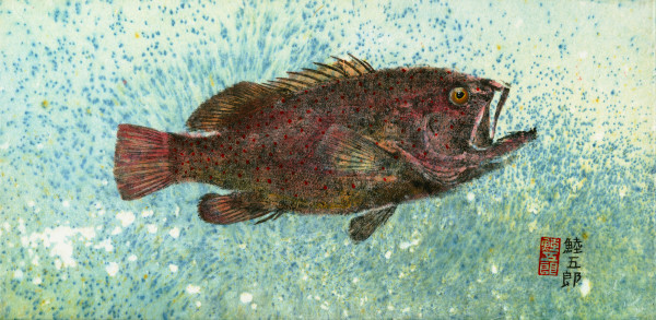 Pacific Strawberry Grouper 3 - framed by Stephen Mutsugoroh DiCerbo
