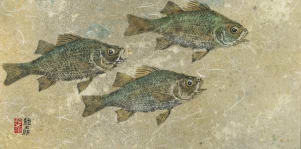 White Perch Trio 1 (Giclee') #3/50 by Stephen Mutsugoroh DiCerbo