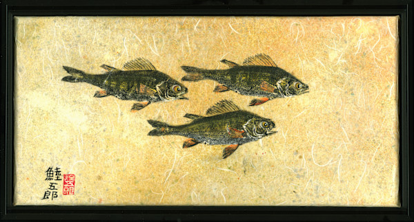Yellow Perch Trio 6, framed by Stephen Mutsugoroh DiCerbo, Image 1.