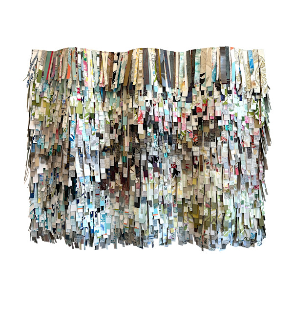 She's Got Curves by Shiri Phillips