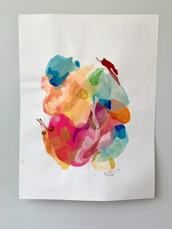 Color Map by Shiri Phillips