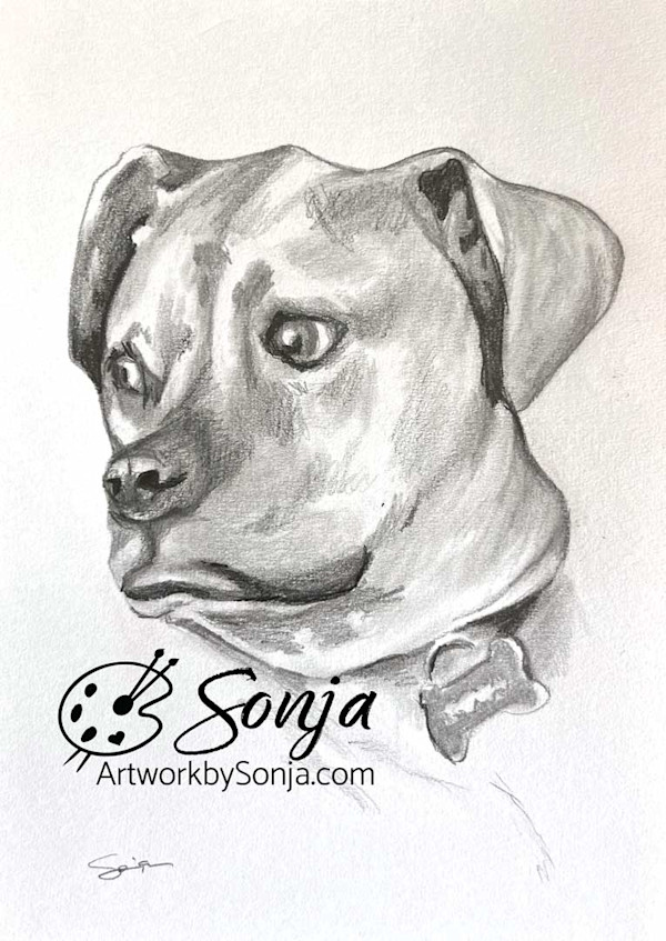 Beloved Pup Pet Portrait by Sonja Petersen