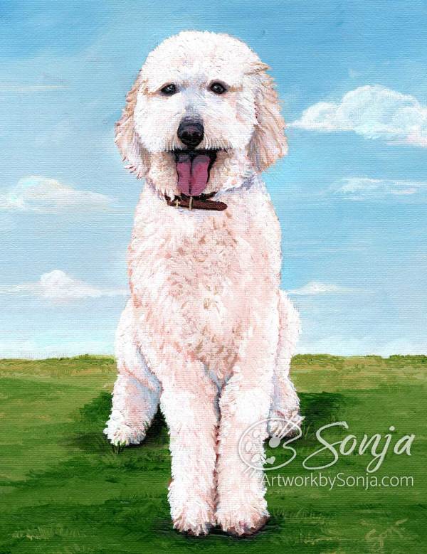 Golden Doodle Pet Portrait by Sonja Petersen
