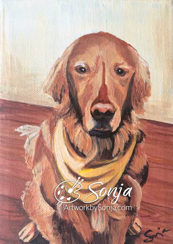 Golden Retriever Pet Potrait Painting by Sonja Petersen