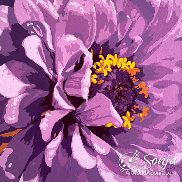Lavish Bloom: Amethyst Zinnia by Sonja Petersen
