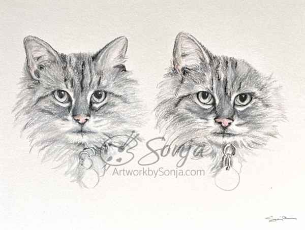 Cat Memorial Drawing by Sonja Petersen, Image 1.