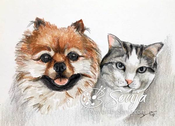 Dog and Cat Portrait by Sonja Petersen