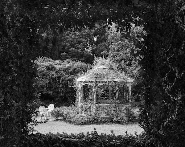 Garden, Micanopy by Anastasia Samoylova