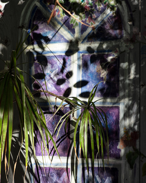 Window, Key Largo by Anastasia Samoylova