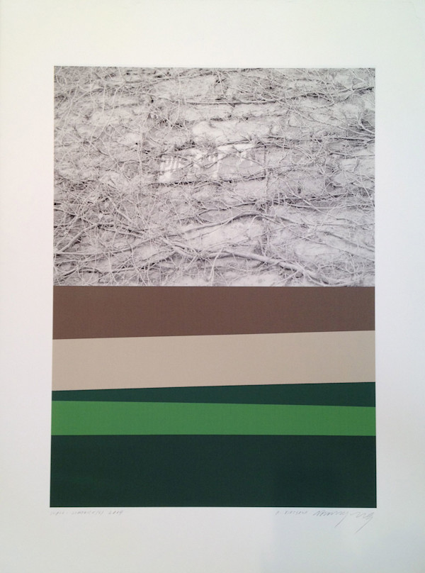 Scale Limerick(s) - Wall by Avvakumov/Kirtsova