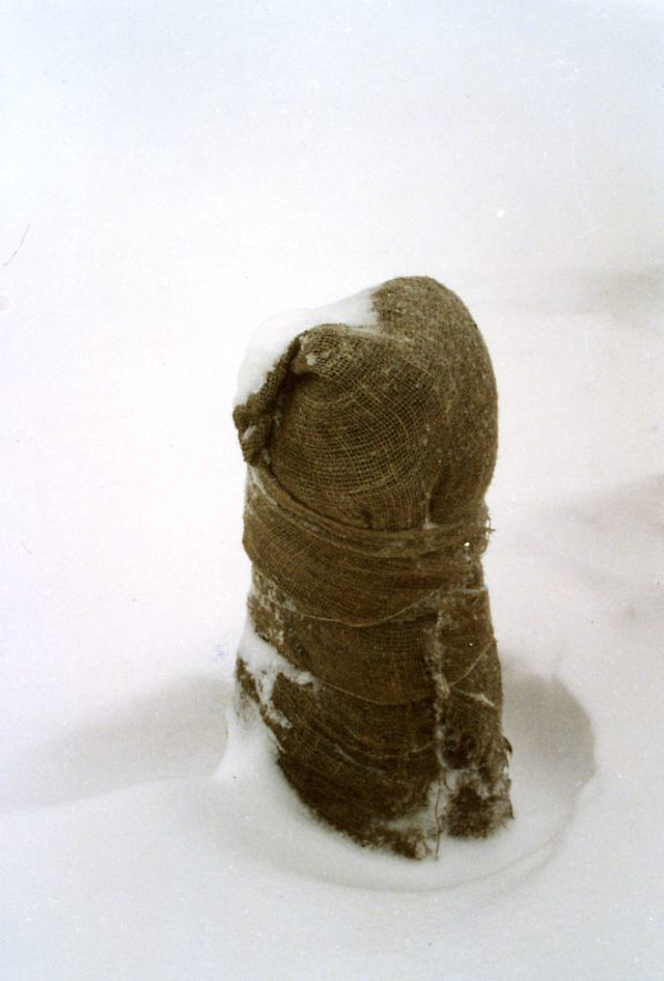 untitled (Bush and Snow) by Leonid Borisov