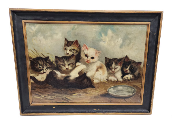 Kittens
