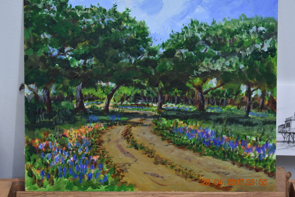 Texas Hill Country road in spring by Richard S. Hall