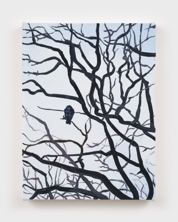 Brooklyn Hawk by Noa Charuvi, Image 1.
