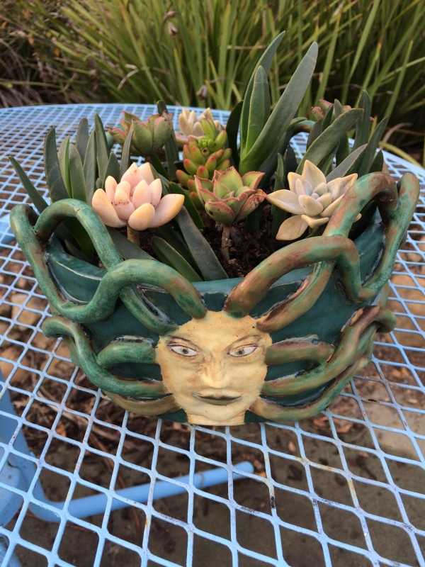 Four Ways Medusa succulent pot by Nell Eakin