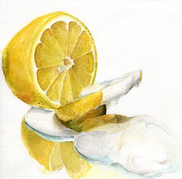 Citrus Whip by Anna Canfield