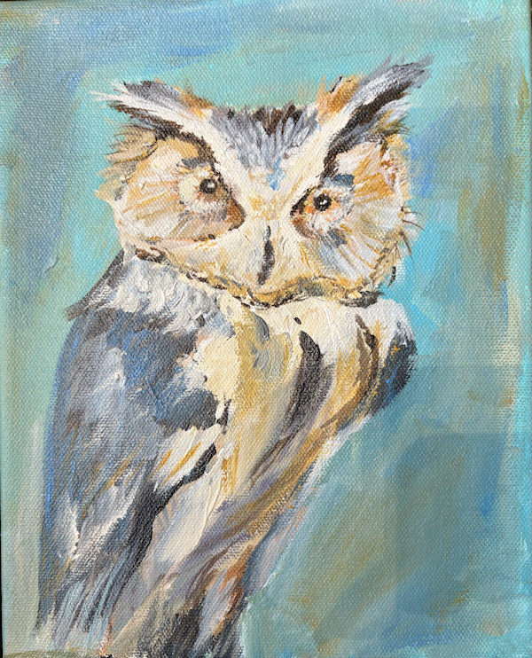 Owl by Amy B. Carroll