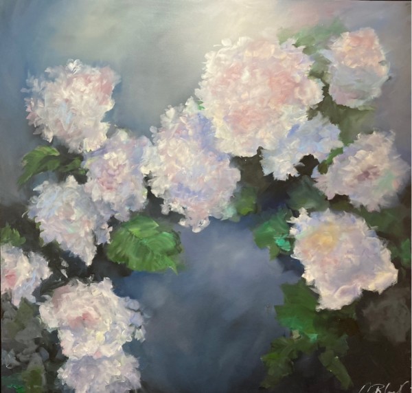 Hydrangeas in the Evening by Amy B. Carroll