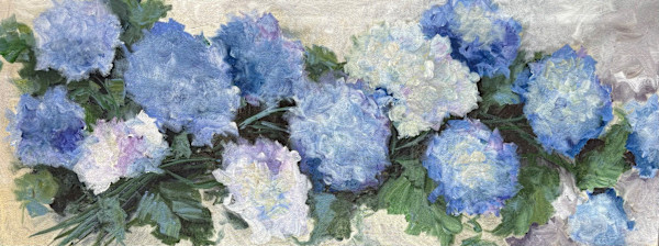 Hydrangea Blue by Amy B. Carroll