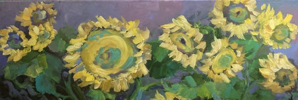 Sunshine Sisters by Amy B. Carroll