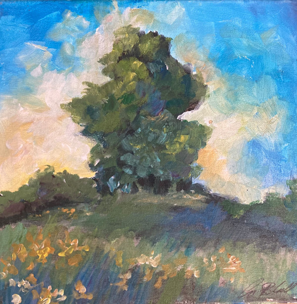 IMG_7835_el7dmp_3 by Amy B. Carroll