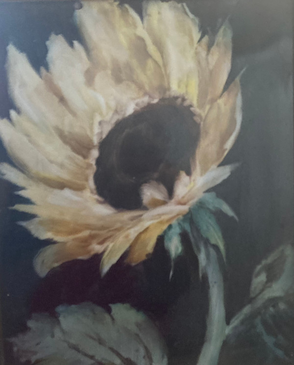 Sunflower at midnight by Amy B. Carroll