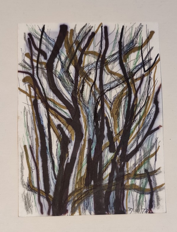 Untitled or unknown title, described as Tree Sketch by Esther Webster