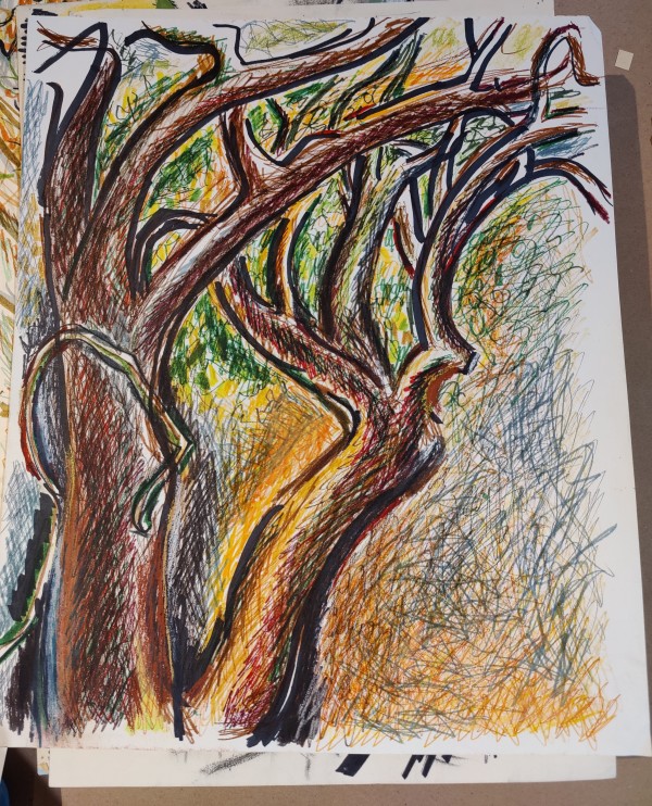 Untitled or unknown title described as Brown Tree Branches with Orange Highlights by Esther Webster