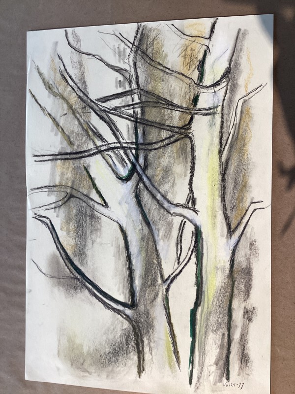 Tree Study #2 by Esther Webster