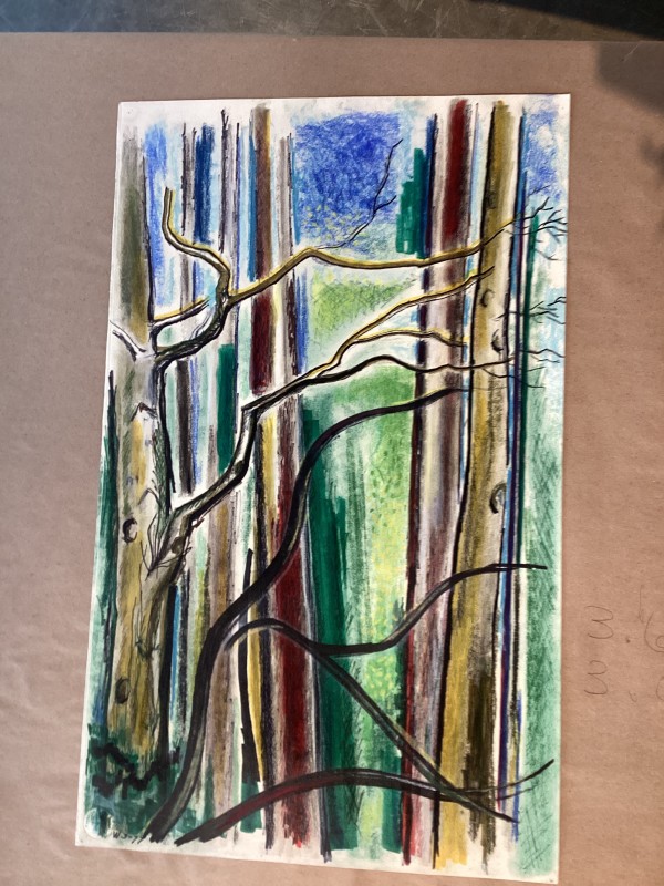 Untitled or unknown title, described as tree trunks in forest by Esther Webster