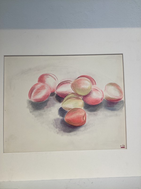 Colored Pencil (Plums) by Esther Webster