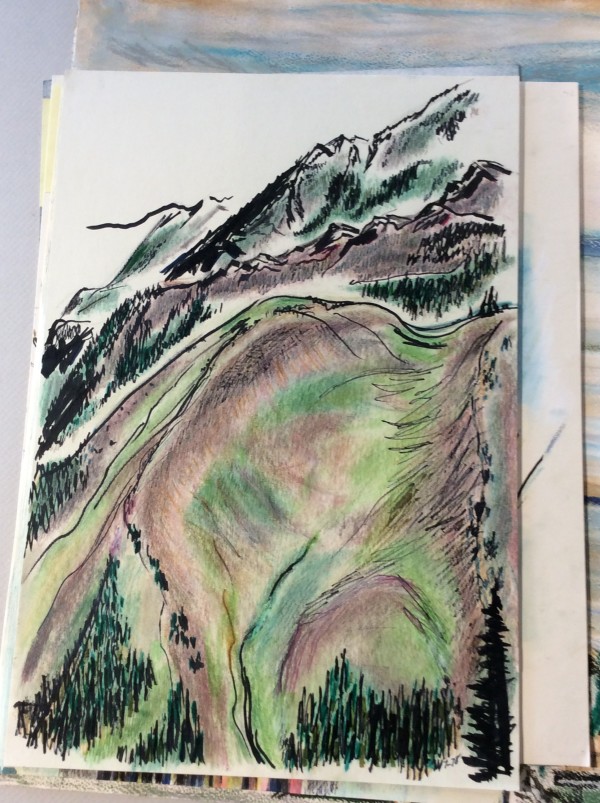 Subalpine Meadow by Esther Webster