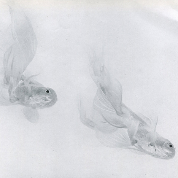 Silver Twins 1955 by Cheung Yu Chiu 張汝釗