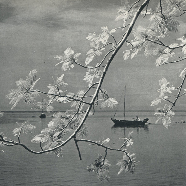 Dawn of Spring 1955 by Yan Fook Leun 甄福暖