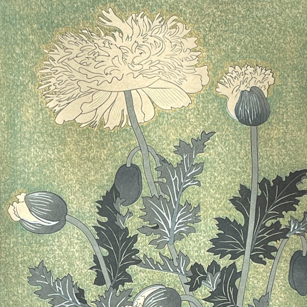 Poppies by Benji Asada