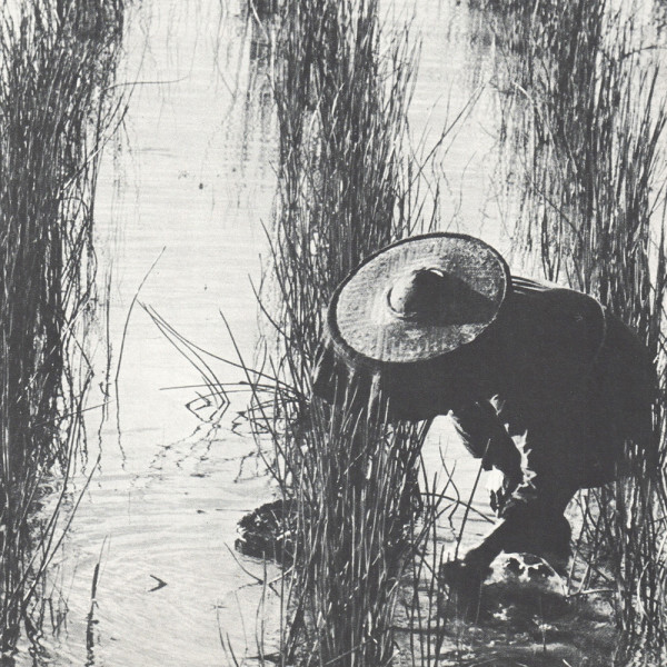Harvest 1959 by Ching Eddie 程子然
