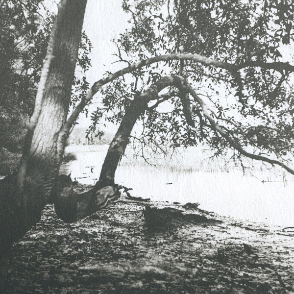 Holga Landscape V by Mark Eshbaugh, Image 1.