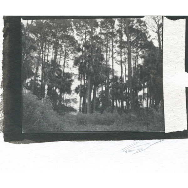 Holga Landscape VIII by Mark Eshbaugh, Image 1.