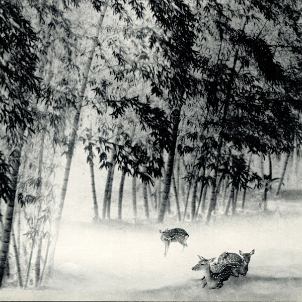 Deer by Long Chin-san