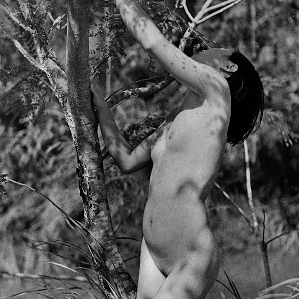 Forest Nymph 1936 by Long Chin-san
