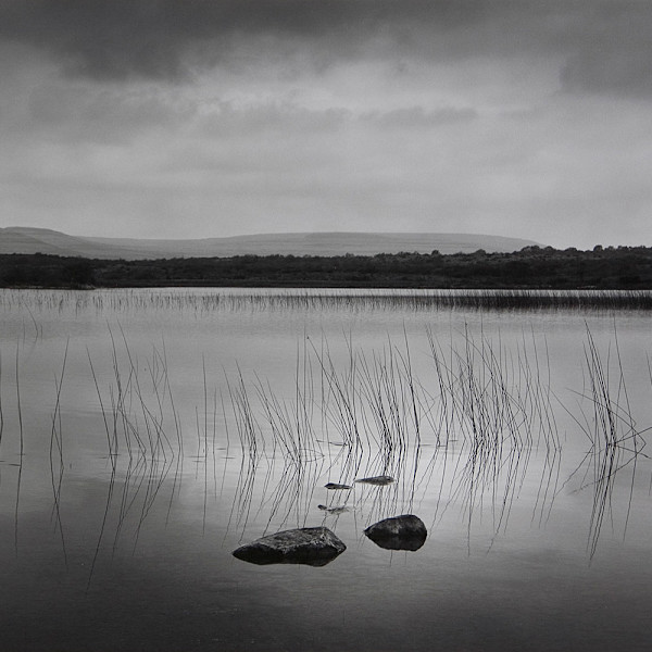 Lough Bunny by John Wimberley