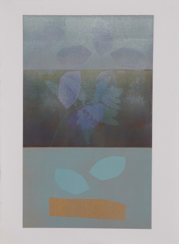 Silent Spring by Erika Lawlor Schmidt