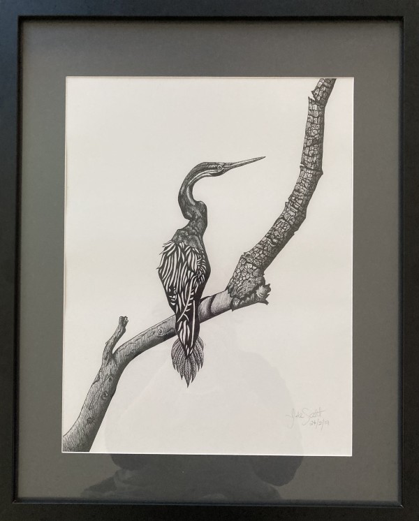 'Feathers'  Framed Giclee Print with Mount by Jude Scott