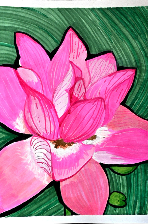 lotus illustration by Micah Haji-Sheikh