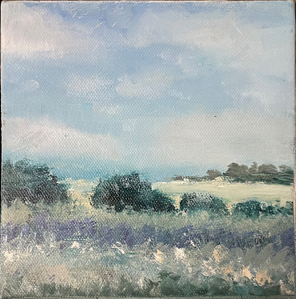 Fields afar by Chris Ramsey, Image 1.