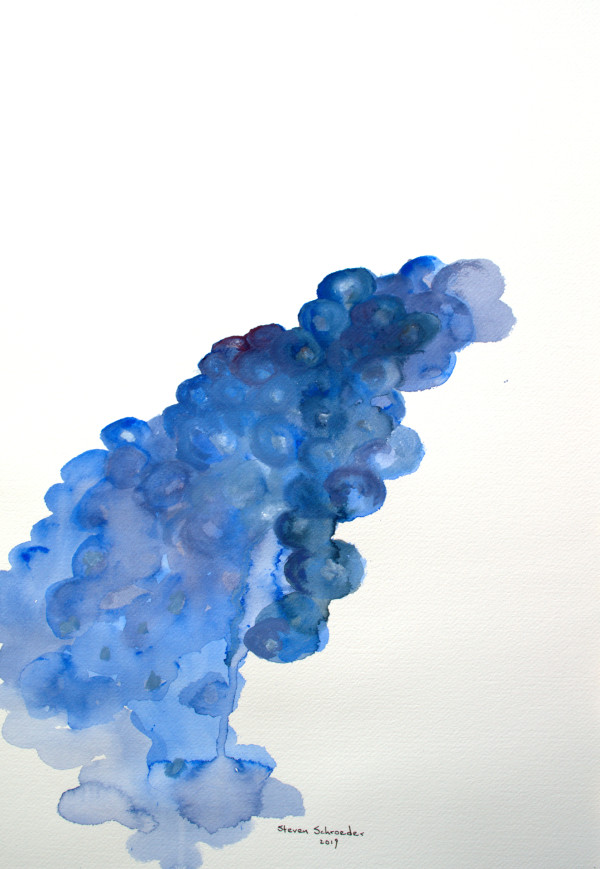 blue by Steven Schroeder