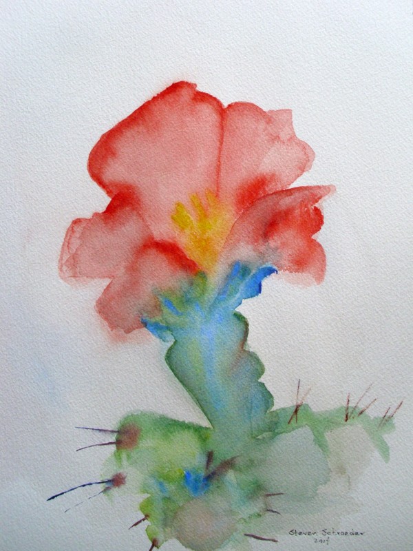 cholla blossom 1 by Steven Schroeder