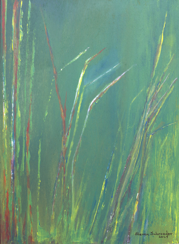 simple as grass 7 by Steven Schroeder